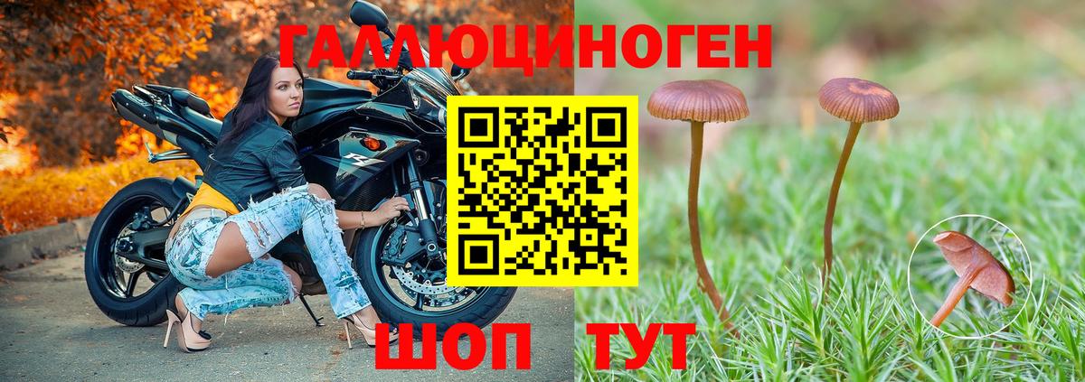 Галлюциногенные грибы Cubensis  Галлюциногенные грибы Psilocybine cubensis  наркотики  Вход с VPN  Иркутск 